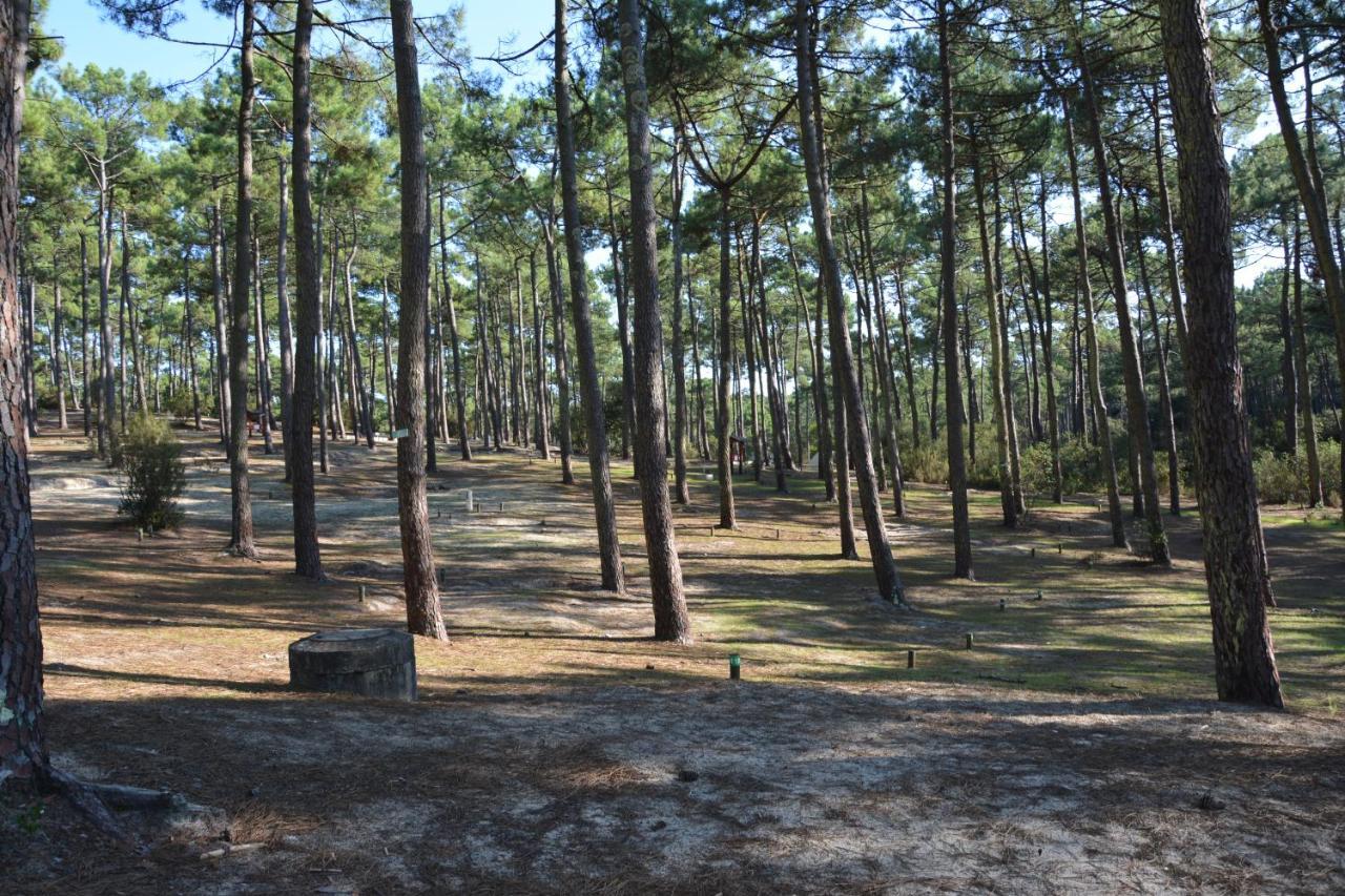 Camping de la Dune Bleue Carcans Eksteriør billede